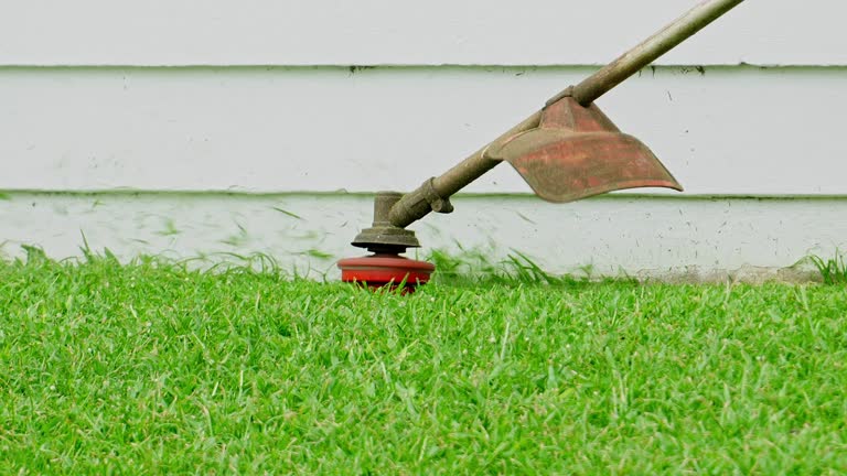 Best Lawn Drainage Solutions  in Buena Vista, CO